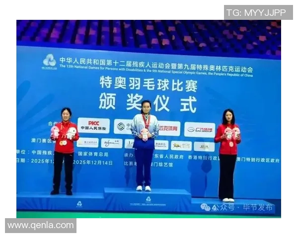 成都羽毛球队勇攀高峰的奋斗故事与冠军赛荣耀之路